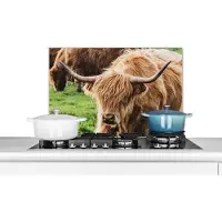 KitchenYeah Spatscherm keuken 60x40 cm - Kookplaat achterwand Schotse hooglander - Dieren - Gras - Muurbeschermer - Spatwand fornuis - Hoogwaardig aluminium