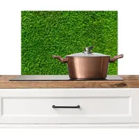 KitchenYeah Spatscherm keuken 60x40 cm - Kookplaat achterwand Mos - Groen - Natuur - Bos - Muurbeschermer - Spatwand fornuis - Hoogwaardig aluminium