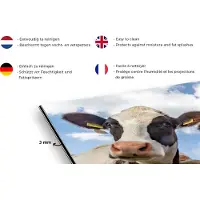 KitchenYeah Spatscherm keuken 120x80 cm - Kookplaat achterwand Koeien - Dieren - Weiland - Natuur - Muurbeschermer - Spatwand fornuis - Hoogwaardig aluminium