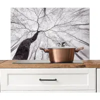KitchenYeah Spatscherm keuken 80x55 cm - Kookplaat achterwand Boom - Takken - Bladeren - Mist - Muurbeschermer - Spatwand fornuis - Hoogwaardig aluminium