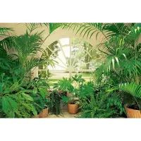A.S. Création Fotobehang Wintergarden DD119003 Designwalls Groen Vlies 384 X 260 cm (8 delen) Fotobehang online webshop