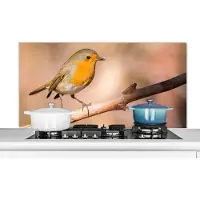 KitchenYeah Spatscherm keuken 120x60 cm - Kookplaat achterwand Vogel - Tak - Roodborstje - Muurbeschermer - Spatwand fornuis - Hoogwaardig aluminium