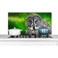 KitchenYeah Spatscherm keuken 100x50 cm - Kookplaat achterwand Vogel - Uil - Dieren - Bruin - Portret - Muurbeschermer - Spatwand fornuis - Hoogwaardig aluminium