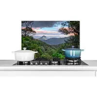 KitchenYeah Spatscherm keuken 60x40 cm - Kookplaat achterwand Jungle - Berg - Costa Rica - Jongetjes - Meiden - Kinderen - Muurbeschermer - Spatwand fornuis - Hoogwaardig aluminium