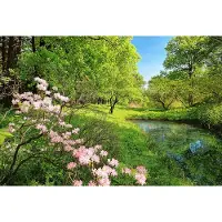 A.S. Création Fotobehang Park in the Spring DD118991 Designwalls Zwart Antraciet Vlies 384 X 260 cm (8 delen) Fotobehang