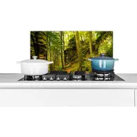 KitchenYeah Spatscherm keuken 60x30 cm - Kookplaat achterwand Bomen - Steen - Bos - Natuur - Planten - Muurbeschermer - Spatwand fornuis - Hoogwaardig aluminium