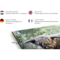 KitchenYeah Spatscherm keuken 120x80 cm - Kookplaat achterwand Schotse Hooglanders - Bos - Dieren - Muurbeschermer - Spatwand fornuis - Hoogwaardig aluminium