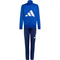 Adidas Trainingspak 'Essentials' blauw / navy / wit