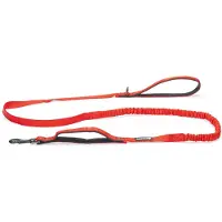 Beeztees Parinca Elastic Hondenriem