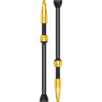 Lezyne TLR Fiets Tubeless Ventiel, Weg, Gravel, Mountainbike, Presta, Ventielkern Verwijderaar