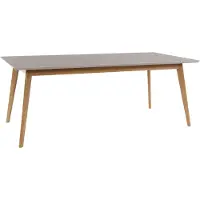 DOMUS Vista - Eettafel 200 cm in Grijs Eiken (77 x 200 x 100 cm)