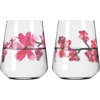 Ritzenhoff Waterglas Sommersonett #3 #4 500 ml (Set van 2)