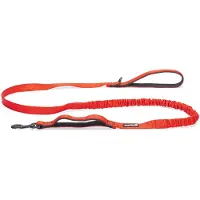 Beeztees Parinca Elastic Hondenriem