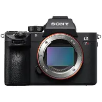 Sony A7R Iii + Sel 55Mm F1.8 Za