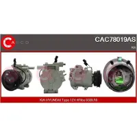 Casco CAC78139GS Aircopomp