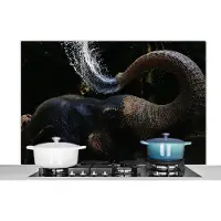 KitchenYeah Spatscherm keuken 120x80 cm - Kookplaat achterwand Olifant - Water - Slurf - Dieren - Natuur - Muurbeschermer - Spatwand fornuis - Hoogwaardig aluminium
