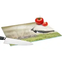 KitchenYeah Glazen Snijplank - 39x28 - Vogel - Gras - Dieren - Natuur - Kievit - Snijplanken Glas