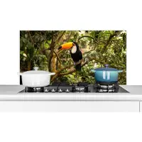 KitchenYeah Spatscherm keuken 100x50 cm - Kookplaat achterwand Vogel - Toekan - Jungle - Natuur - Tropisch - Muurbeschermer - Spatwand fornuis - Hoogwaardig aluminium