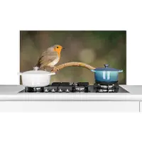 KitchenYeah Spatscherm keuken 100x50 cm - Kookplaat achterwand Roodborstje - Vogel - Natuur - Muurbeschermer - Spatwand fornuis - Hoogwaardig aluminium