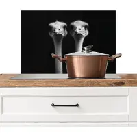KitchenYeah Spatscherm keuken 60x40 cm - Kookplaat achterwand Struisvogels - Halzen - Zwart - Minimalistisch - Muurbeschermer - Spatwand fornuis - Hoogwaardig aluminium