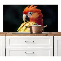 KitchenYeah Spatscherm keuken 120x60 cm - Kookplaat achterwand Close-up - Papegaai - Veren - Oranje - Muurbeschermer - Spatwand fornuis - Hoogwaardig aluminium