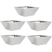 vidaXL Plantenbak 5 st zilver 35 x 35 x 15 cm Roestvrij staal