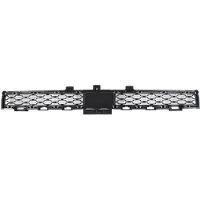 BLIC 6502-07-3209910P Ventilatiegrille, bumper