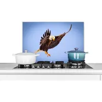 KitchenYeah Spatscherm keuken 70x50 cm - Kookplaat achterwand Arend - Lucht - Dier - Muurbeschermer - Spatwand fornuis - Hoogwaardig aluminium