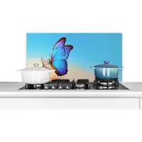 KitchenYeah Spatscherm - Blauw - Insect - Lucht - Spatwand - 80x40 cm - Muurbeschermer - Spatscherm vlinder - Keuken achterwand - Keuken decoratie - Spatscherm dieren