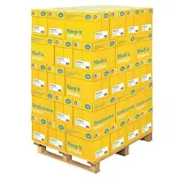 Data Copy Kopierpapier Everyday Printing DIN A4 80 g/qm 500 Blatt