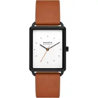 Skagen Hagen horloge SKW6929