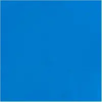 Bruynzeel Ecola plakkaatverf fles 16ml lichtblauw 501