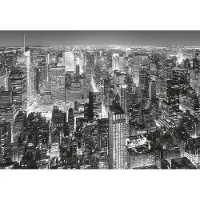 A.S. Création Fotobehang Midtown NY DD118880 Designwalls Zwart Antraciet Papier 366 x 254 cm (8 delen) Fotobehang online webshop