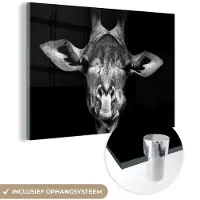MuchoWow Glasschilderij - Foto op glas - Wilde dieren - Giraffe - Zwart - Wit - 180x120 cm - Acrylglas - Wanddecoratie glas - Glasschilderij giraffe - Woondecoratie - Glasschilderij dieren