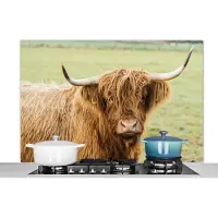 KitchenYeah Spatscherm keuken 120x80 cm - Kookplaat achterwand Schotse hooglander - Hoorn - Gras - Muurbeschermer - Spatwand fornuis - Hoogwaardig aluminium