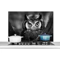 KitchenYeah Spatscherm keuken 100x65 cm - Kookplaat achterwand Vogel - Uil - Portret- Zwart - Wit - Muurbeschermer - Spatwand fornuis - Hoogwaardig aluminium