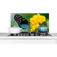 KitchenYeah Spatscherm - Spatwand - Vlinder - Bloemen - Kleuren - Keuken decoratie - Keuken - 80x40 cm - Achterwand keuken - Muurbeschermer - Spatscherm achterwand keuken