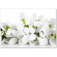 Tulup Glasschilderij - Foto Glas Witte Sneeuwklokjes - 100 cm x 70 cm - Weiß Glas Foto - Foto In Glas - Boheemse Glaskunst - Foto In Glas - Glaskunst voor de Badkamer