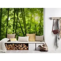 A.S. Création Fotobehang BambooForest DD115004 XXL 5 | Goedkoop fotobehang