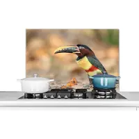 KitchenYeah Spatscherm keuken 80x55 cm - Kookplaat achterwand Vogel - Toekan - Veren - Natuur - Muurbeschermer - Spatwand fornuis - Hoogwaardig aluminium