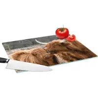 KitchenYeah Glazen Snijplank - 39x28 - Schotse hooglanders - Dieren - Liefde - Snijplanken Glas