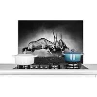 KitchenYeah Spatscherm keuken 80x55 cm - Kookplaat achterwand Antilope - Zwart wit - Portret - Wilde dieren - Dieren - Muurbeschermer - Spatwand fornuis - Hoogwaardig aluminium