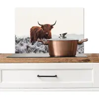 KitchenYeah Spatscherm keuken 60x40 cm - Kookplaat achterwand Schotse hooglander - Dier - Natuur - Wit - Muurbeschermer - Spatwand fornuis - Hoogwaardig aluminium