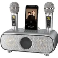 BOG Karaoke Machine voor Volwassenen en Kinderen Draagbaar Bluetooth 2 UHF Draadloze Microfoons USB/TF AUX-In PA Luidsprekersysteem voor Thuisfeest - Grijs