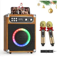 BOG Professionele Draagbare Karaoke Machine met 2 Draadloze UHF Microfoons PA Systeem en DJ Lamp Ideaal Voor Karaoke Feesten en Bruiloften