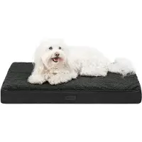 Lionto hondenbed, orthopedisch bed met pluche oppervlak en imitatie suède, afneembare hoes en handvat, 76x51x8 cm, zwart
