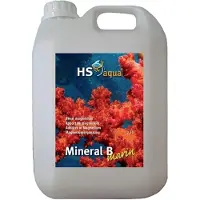 HS Aqua Marin Mineral B 2500ML