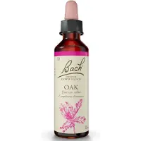 Bach Rescue 22 Oak 20ml