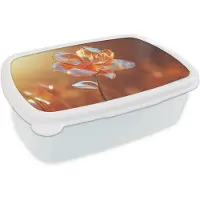 MuchoWow Broodtrommel Wit - Lunchbox Glazen - Bloem - Zonlicht - Brooddoos 18x12x6 cm - Brood lunch box - Broodtrommels voor kinderen en volwassenen