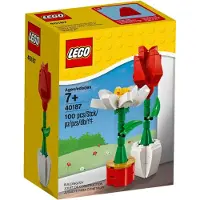 LEGO Iconic Bloemenboeket, Bouwset, vanaf 7 jaar, 100 onderdelen